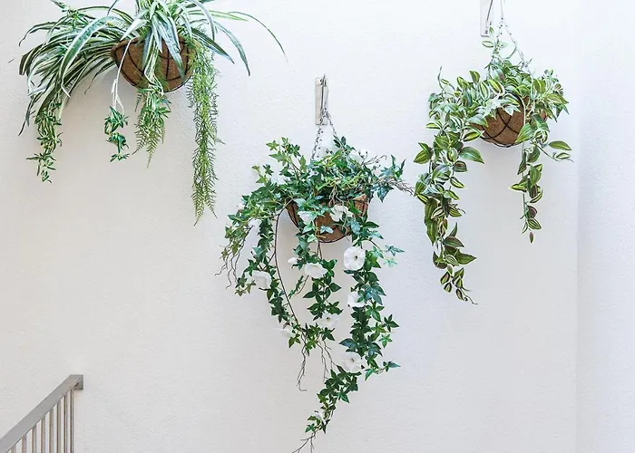 Lidador 116 아파트 빌다도콘데